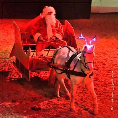 Conte de noel au theatre equestre