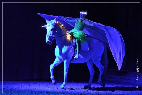 Le nouveau royaume - théâtre équestre de Bretagne - photo Alain epaillard