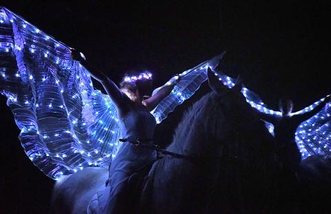Le royaume des étoiles un spectacle pour enfant au théatre équestre de Bretagne de Patrick Massé